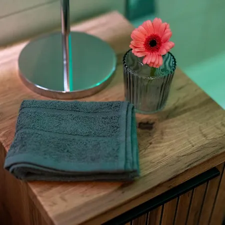 Aner2 Stylische Mit Sauna In Weisser Hirsch Lejlighed Dresden