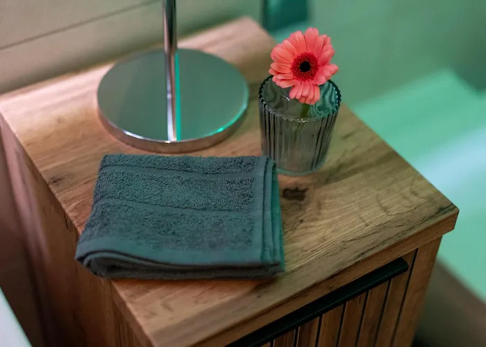 Aner2 Stylische Mit Sauna In Weisser Hirsch Lejlighed Dresden