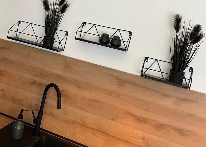 Aner2 Stylische Mit Sauna In Weisser Hirsch Διαμέρισμα